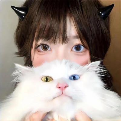 猎魔人第三季