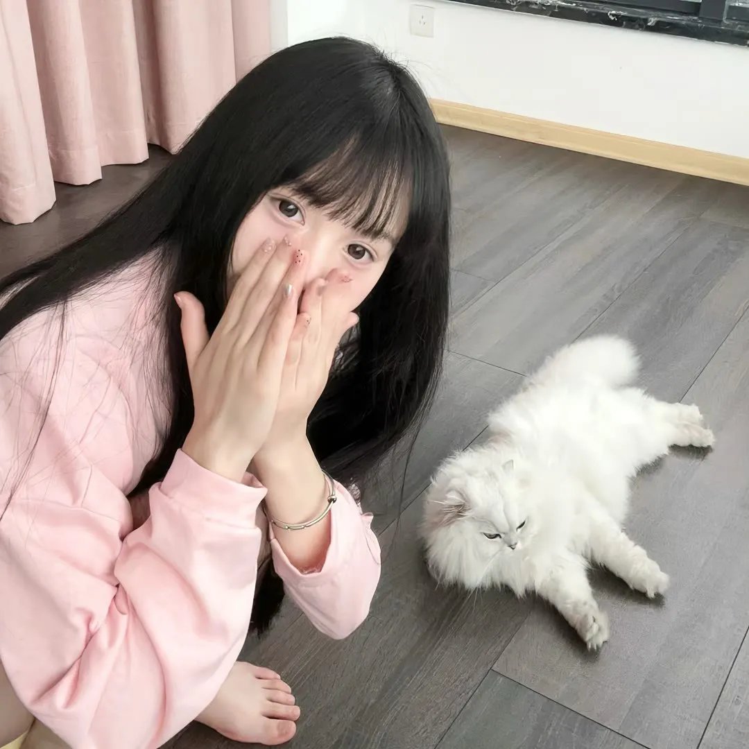 乱马12:热斗篇