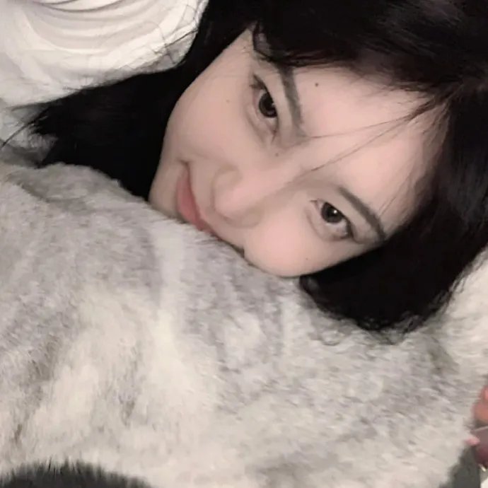 狗纹龙爸爸